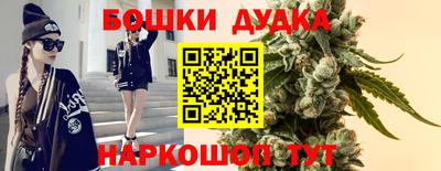 дмт Тула