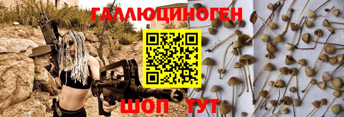 Галлюциногенные грибы Magic Shrooms  Псилоцибиновые грибы ЛСД  купить наркотик  Вход с VPN  Батайск 